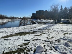 Baldry Creek Park