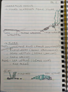 Field Notes, Page 2