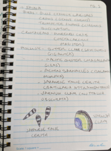Field Notes, Page 3