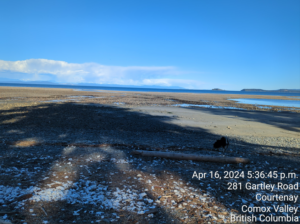 Looking east, Gartley Point