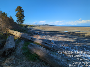 Looking north, Gartley Point.