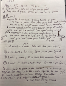 field notebook entry