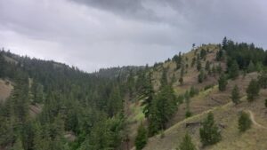 Image 2. Peterson Creek